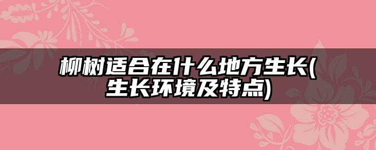柳树适合在什么地方生长(生长环境及特点)