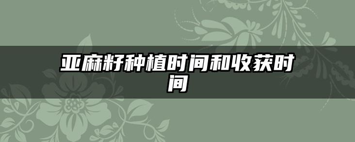 亚麻籽种植时间和收获时间