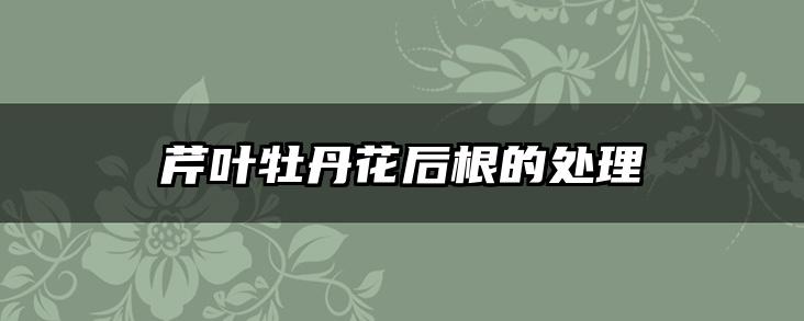 芹叶牡丹花后根的处理