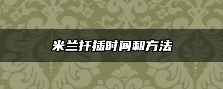 米兰扦插时间和方法