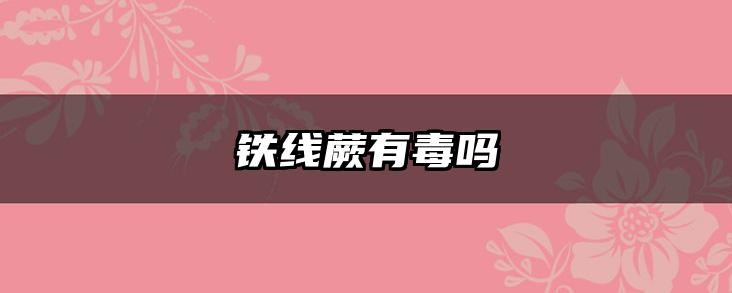 铁线蕨有毒吗