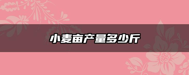 小麦亩产量多少斤