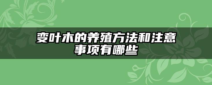 变叶木的养殖方法和注意事项有哪些