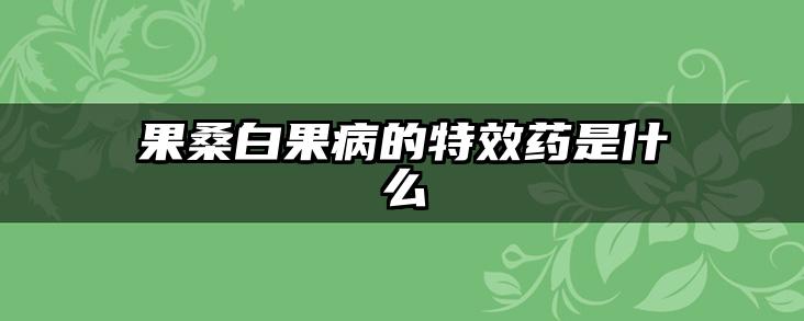 果桑白果病的特效药是什么