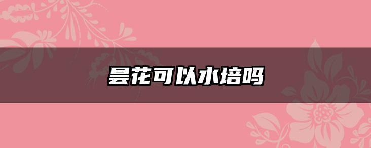 昙花可以水培吗