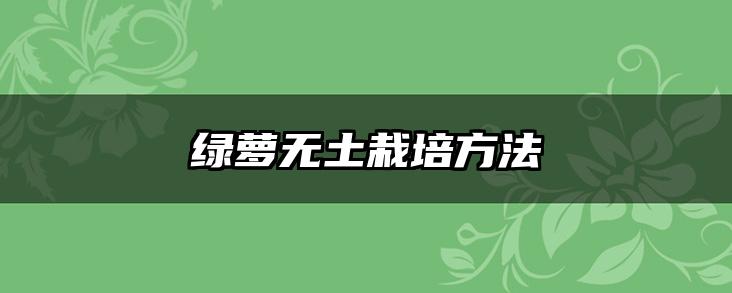绿萝无土栽培方法