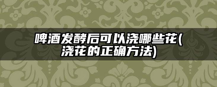 啤酒发酵后可以浇哪些花(浇花的正确方法)