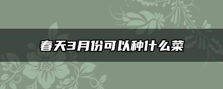 春天3月份可以种什么菜