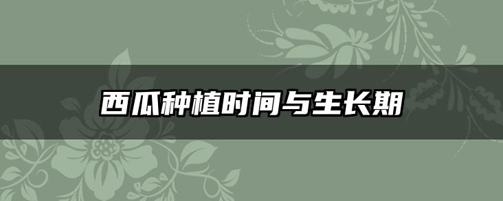 西瓜种植时间与生长期
