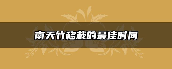 南天竹移栽的最佳时间