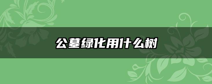 公墓绿化用什么树