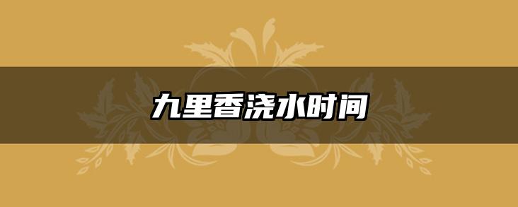 九里香浇水时间