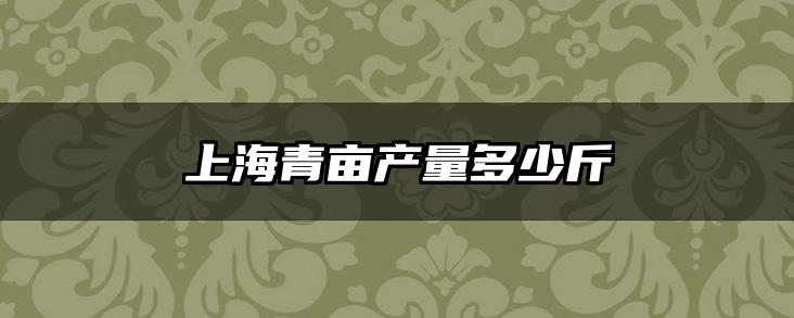 上海青亩产量多少斤