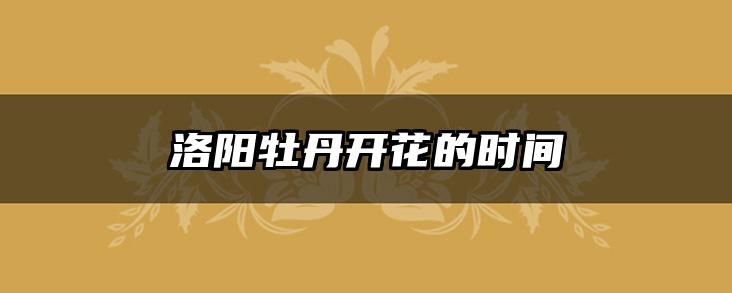 洛阳牡丹开花的时间