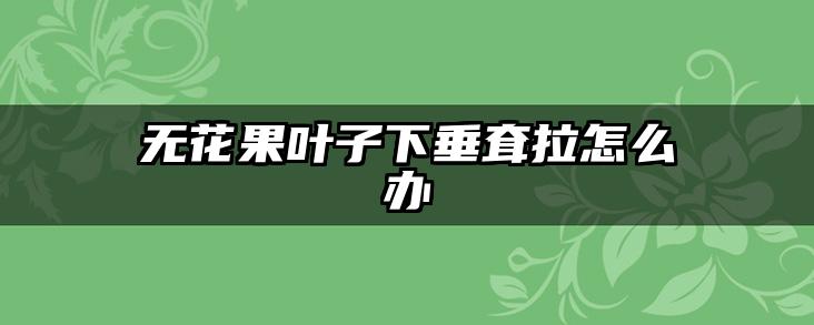 无花果叶子下垂耷拉怎么办