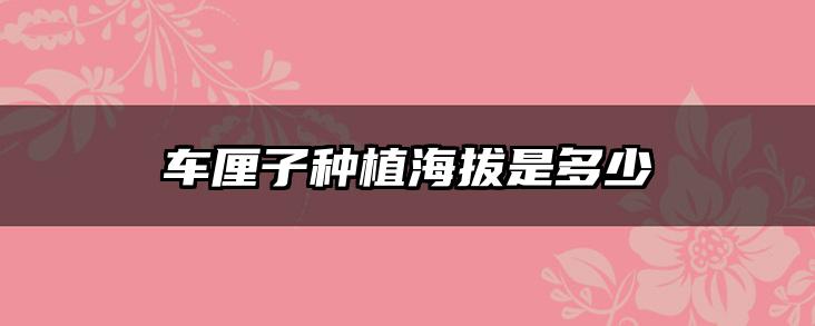 车厘子种植海拔是多少