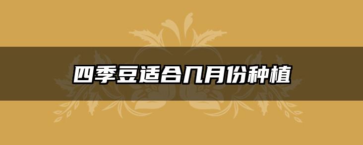 四季豆适合几月份种植