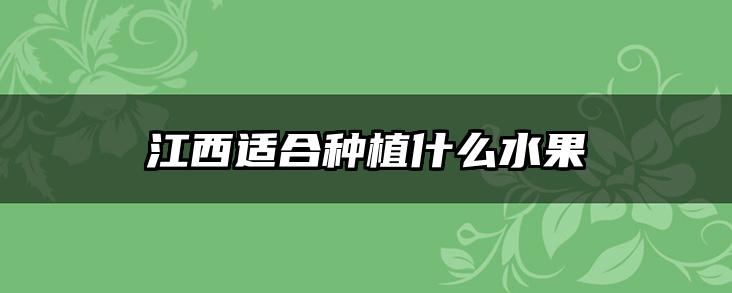 江西适合种植什么水果