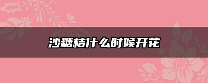 沙糖桔什么时候开花