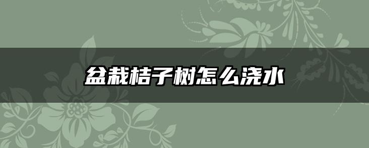 盆栽桔子树怎么浇水