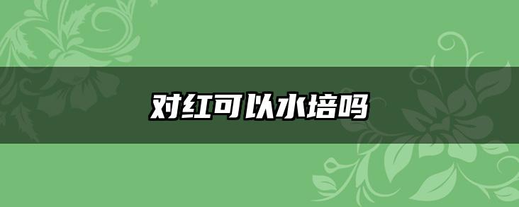 对红可以水培吗