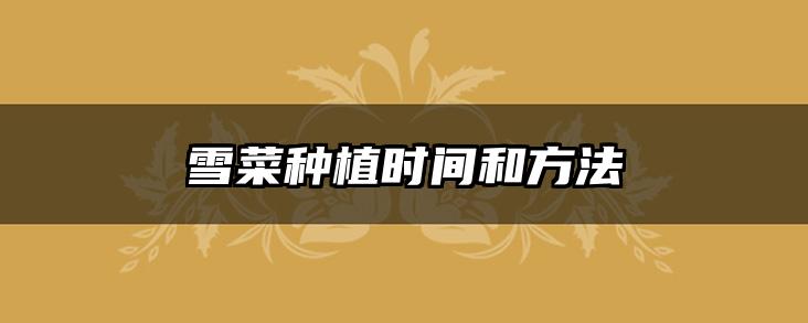 雪菜种植时间和方法