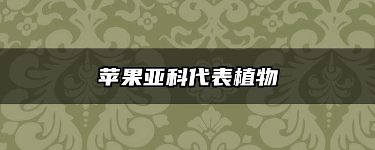 苹果亚科代表植物