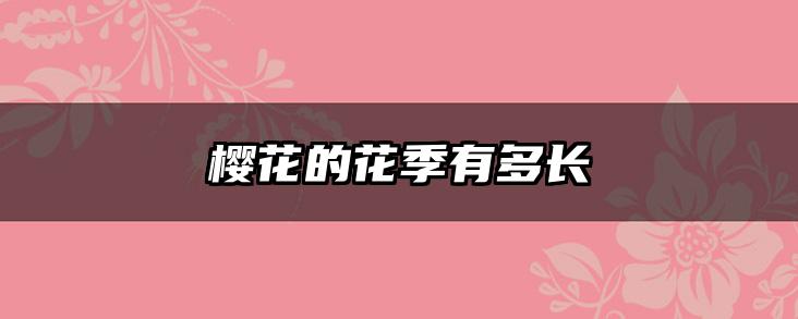 樱花的花季有多长