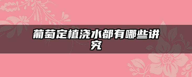 葡萄定植浇水都有哪些讲究