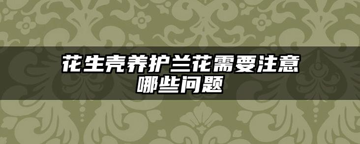 花生壳养护兰花需要注意哪些问题