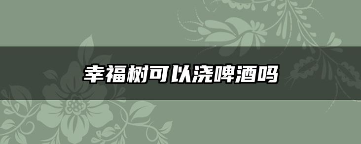 幸福树可以浇啤酒吗
