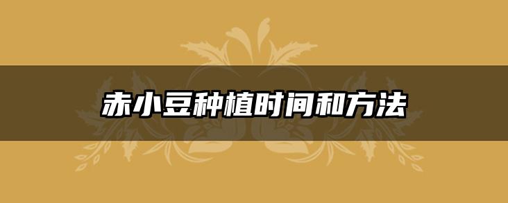 赤小豆种植时间和方法