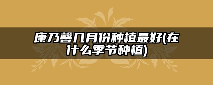 康乃馨几月份种植最好(在什么季节种植)