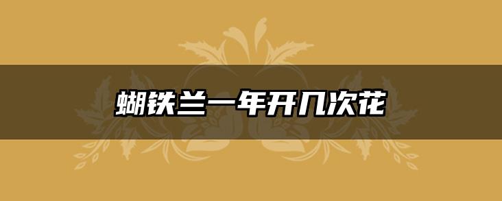 蝴铁兰一年开几次花