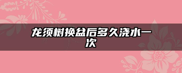 龙须树换盆后多久浇水一次