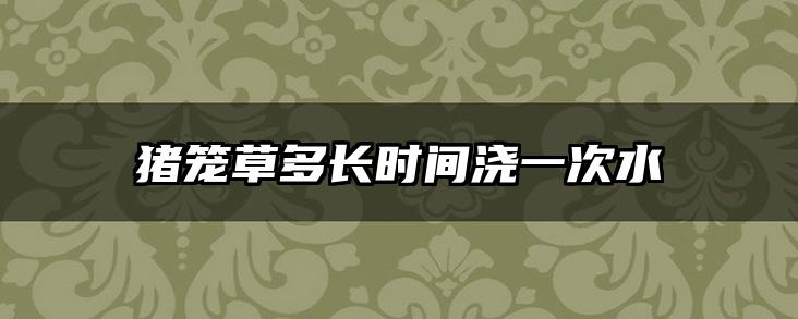 猪笼草多长时间浇一次水