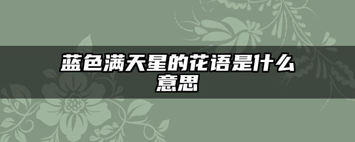 蓝色满天星的花语是什么意思