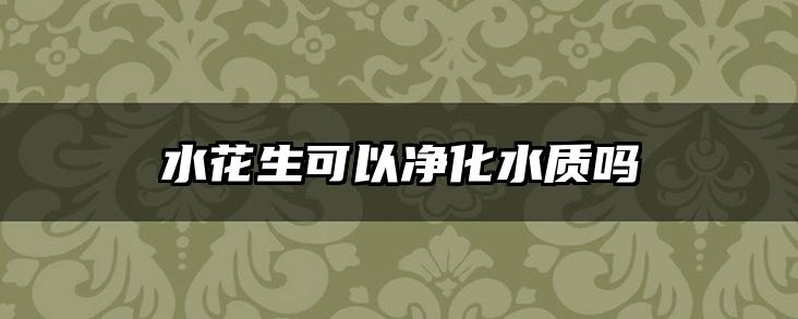 水花生可以净化水质吗