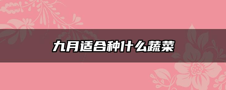 九月适合种什么蔬菜