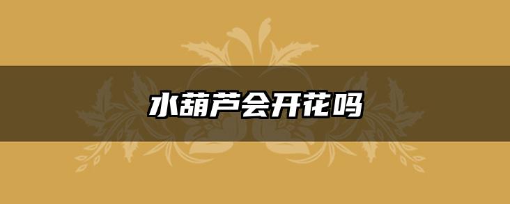 水葫芦会开花吗