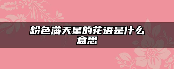 粉色满天星的花语是什么意思