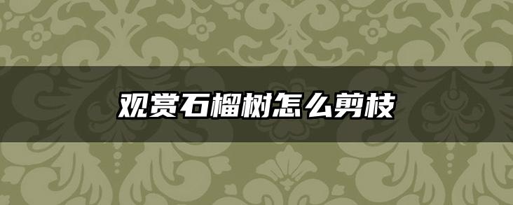 观赏石榴树怎么剪枝