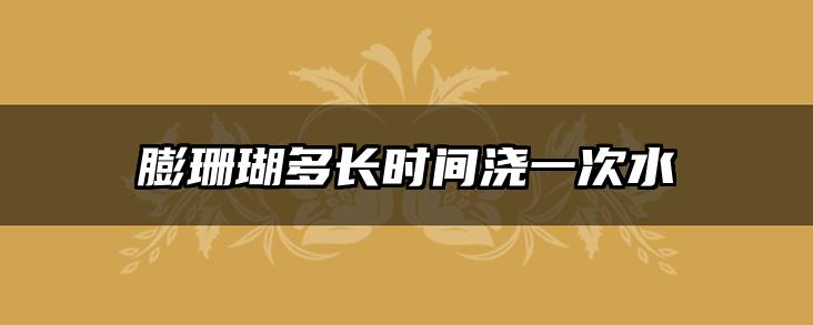 膨珊瑚多长时间浇一次水