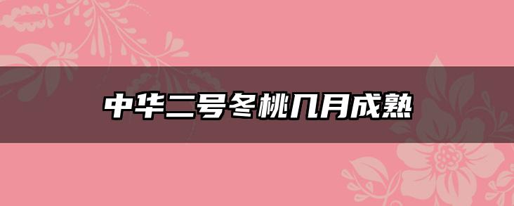 中华二号冬桃几月成熟