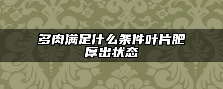 多肉满足什么条件叶片肥厚出状态