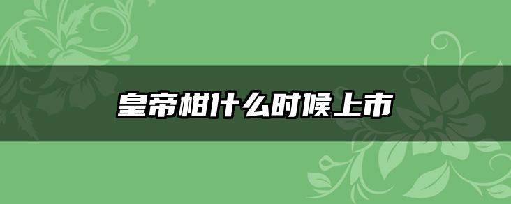 皇帝柑什么时候上市