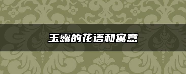 玉露的花语和寓意