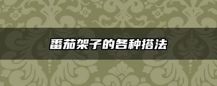 番茄架子的各种搭法