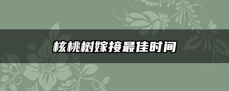 核桃树嫁接最佳时间