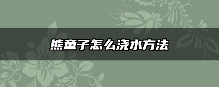 熊童子怎么浇水方法